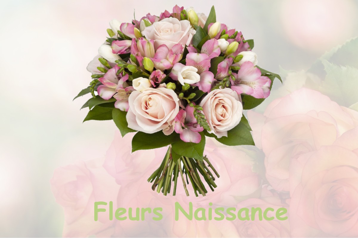 fleurs naissance SAINT-PIERRE-LAFEUILLE